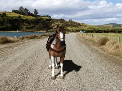 Pinto Horse with saddle and bags Low-poly 3D model