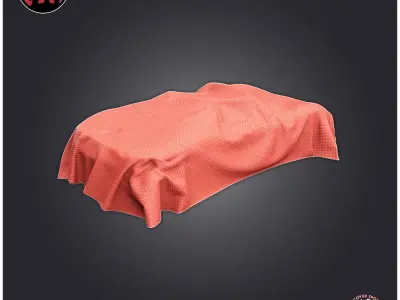 Car Cover Sport Car 3D print model