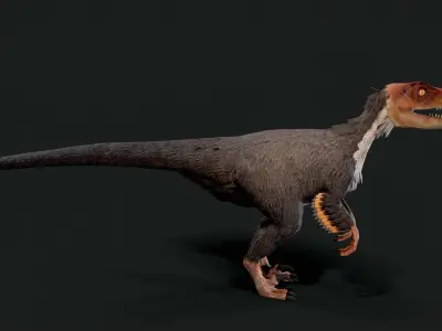 Velociraptor Dinosaur Animated Low Poly Low-poly 3D model