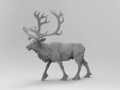 reindeer 3D model