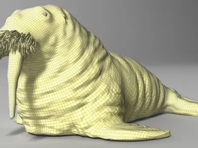 walrus Rigged 3D model