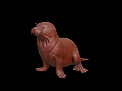 Seal Animal Sculpture 3D print model purchase