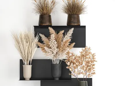 Collection of bouquets of dried flowers 207 3D model