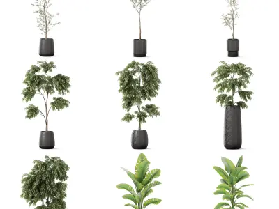 Plants collection vol 49