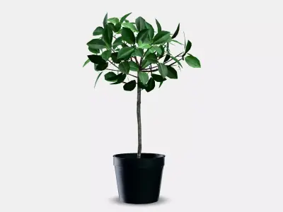 FEJKA Artificial potted plant 4 Low-poly 3D model