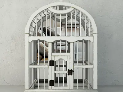 Decorative Cage with Mirror by ZARA HOME 3D model