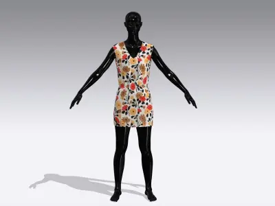Woman Cloth Dress Low-poly 3D model purchase