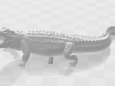 Crocodile entire body 3D Model 3D model