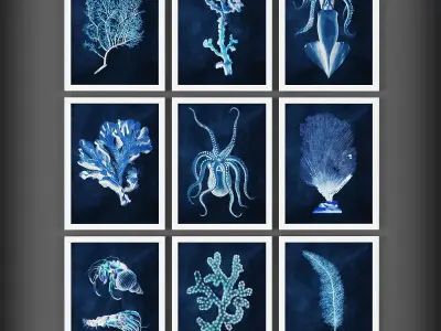 Collection of Picture Frames - 20 sets