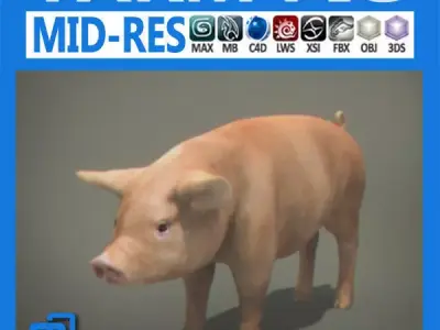 Farm Pig 3D model