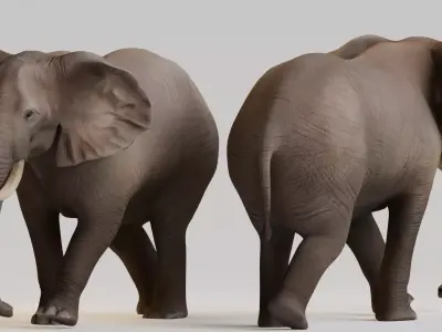 Realistic Animals Savannah - African Elephant Low-poly 3D model
