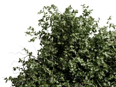 branches in a vase Bouquet 56 3D model