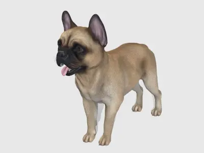 Dog - French Bulldog Low-poly 3D model