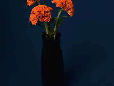 XfrogPlants Coxcomb 3D model