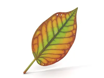 Vibrant Autumn Leaf model pack Low-poly 3D model