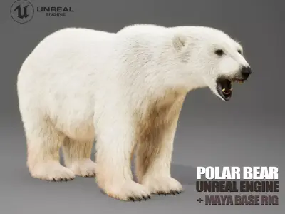 Polar Bear Rig UNREAL project  Maya base rig 3D model