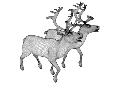 reindeer 3D Model two 3D model
