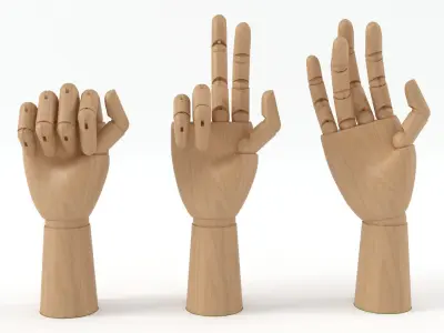 Wooden Hand 3D model