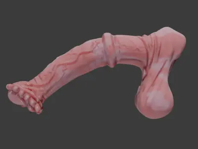Horse Penis Albino Rigged Low-poly 3D model