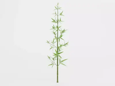 Bamboo Plant - Stem with Leaves Low-poly 3D model