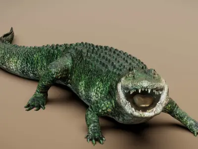  American Alligator 3D model