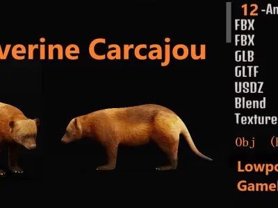 Wolverine Carcajou Low-poly 3D model