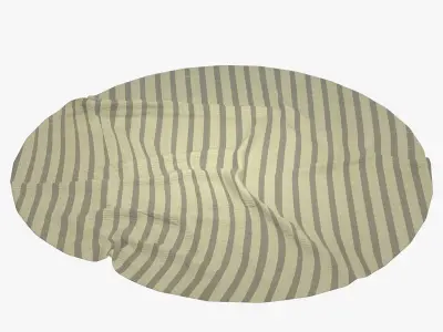 Anderson Rug 3D model