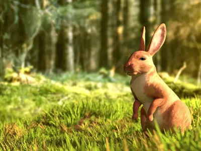Reallistic Animated Rabbit Low-poly 3D model