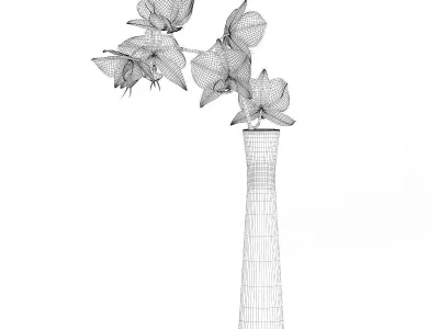 Orchid Flower in White Vase 3D model
