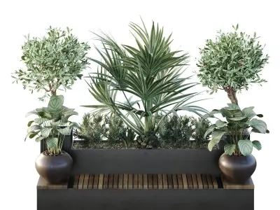 Tree and bush garden box outdoor VOL 18 3D model