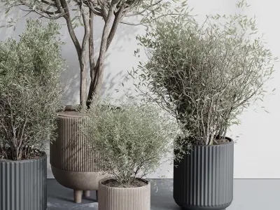 Indoor plant set 362 concrete vase plant tree shrub Low-poly 3D model