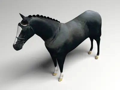 Black Horse 3D model