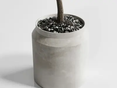 Indoor plant 285 concrete dirt vase plant tree pot 3D model