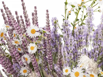 Bouquet Of Wild Flowers In Vase Lavender poppy 483 3D model