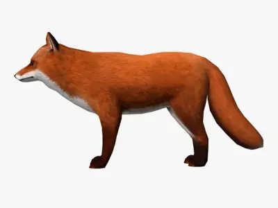 Fox Model Low-poly 3D model