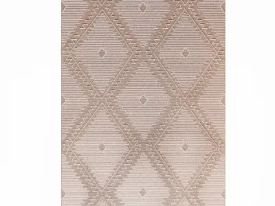 Tierra Natural Rug 3D model