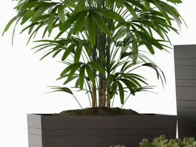 plants set 136 3D model