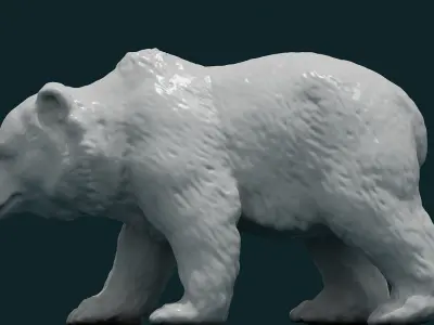 3D Bear polar 3D model