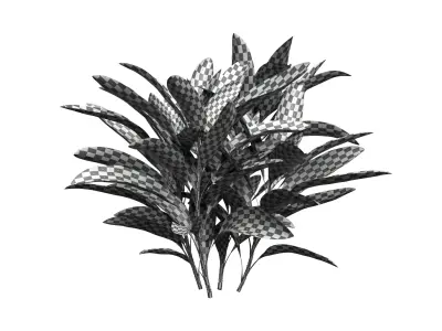 Cordyline Fruticosa Low-poly 3D model