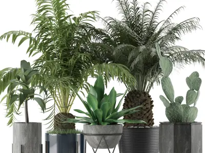 Plants Collection 23 3D model