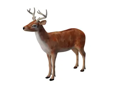 INDIAN DEER Low-poly 3D model