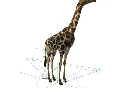 Realtime Running Savannah Giraffe Low-poly 3D model