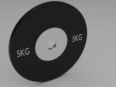 Simple Gym Weight Free 3D model