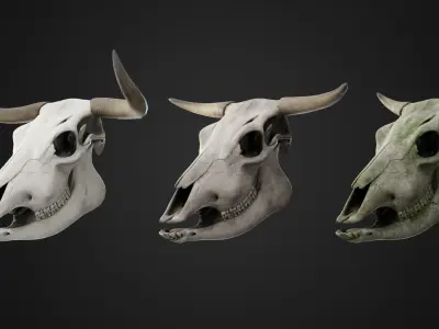 Cow Skull Low-poly 3D model buy