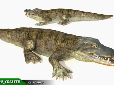 Crocodile Rig Animated LowPoly 3d model Low-poly 3D model