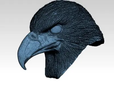 Eagle hawk  falcon  bird head bust 3D print model
