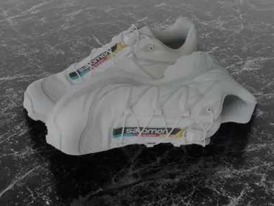 SALOMON S-LAB XT6 WHITE 3D SHOES 3D model