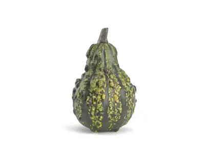 Decorative Pumpkin Gourd 3 3D model