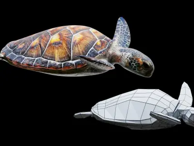 Animated Sea Turtle Low-poly 3D model
