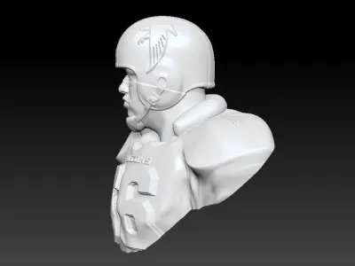 Atlanta Falcons throwback Bust 3D print model